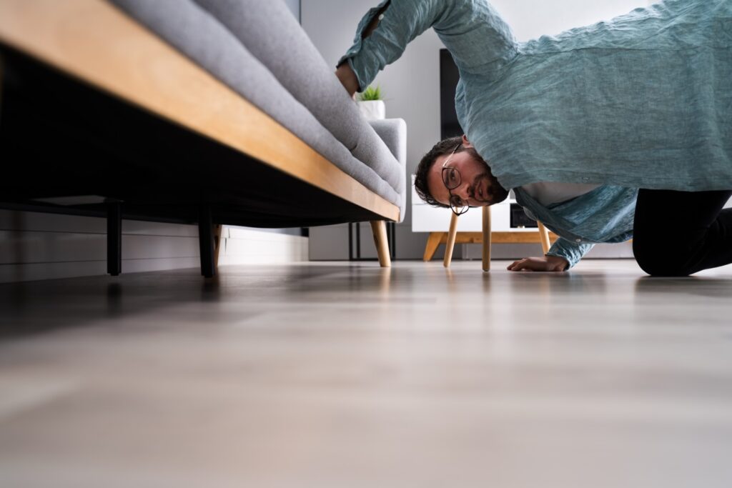 Searching Under Sofa