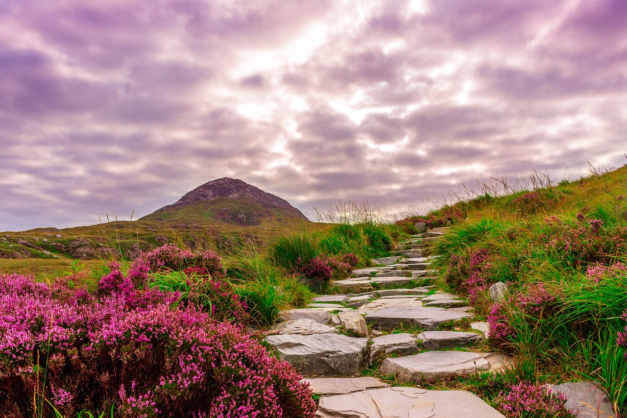 Beautiful scenery at Mullingar, Ireland