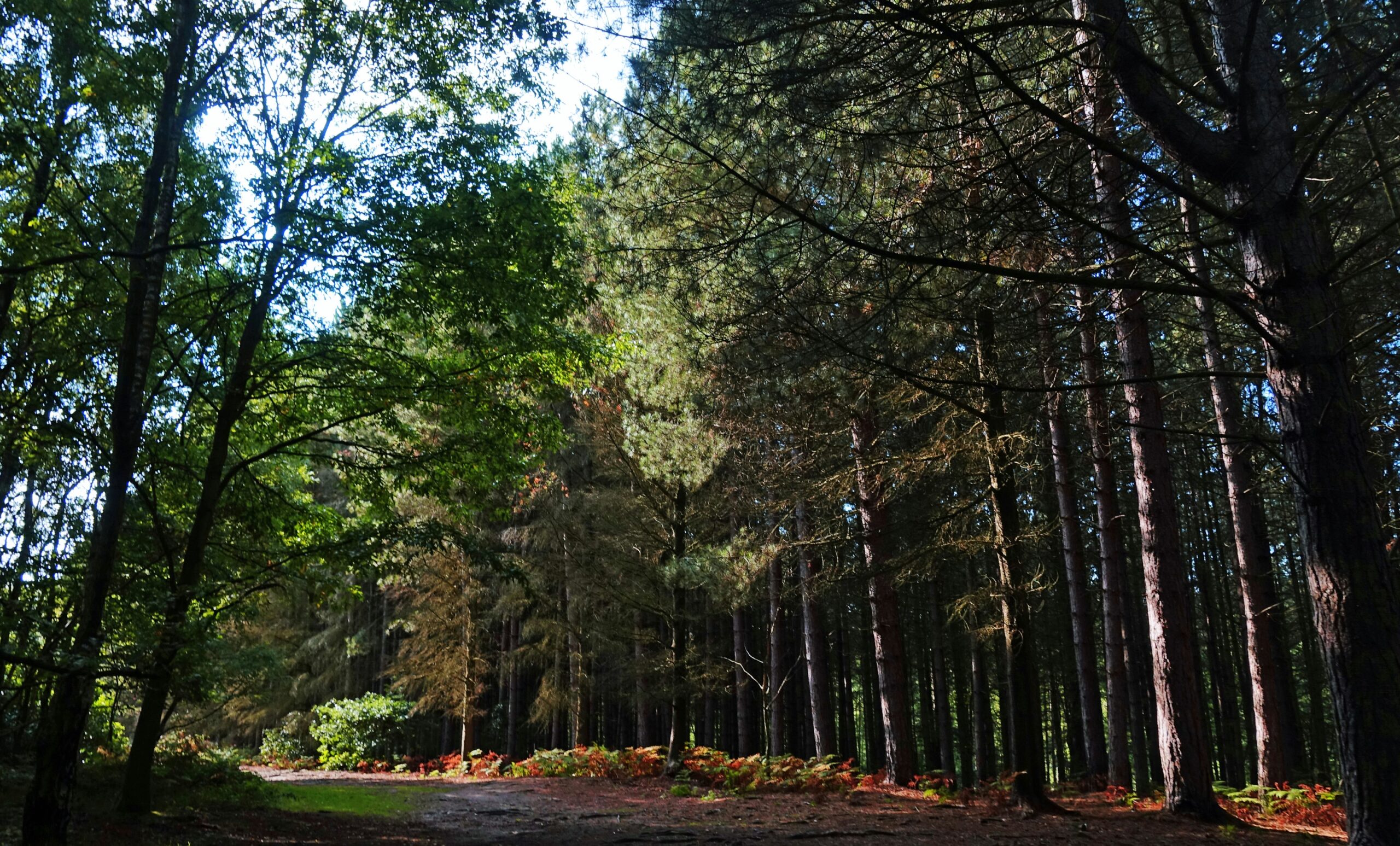 Newmillerdam, Ossett, UK